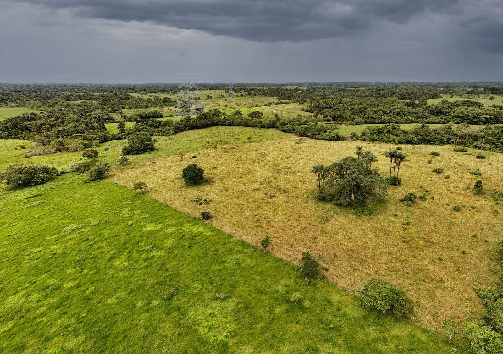 Ciudadela El Jardín, foto del proyecto